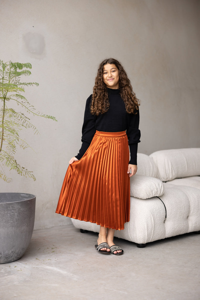 Sophia pleated skirt