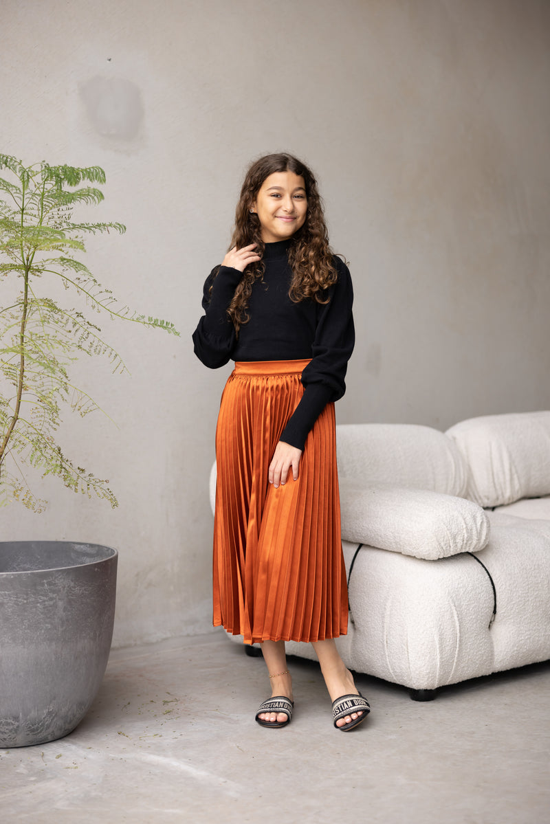 Sophia pleated skirt