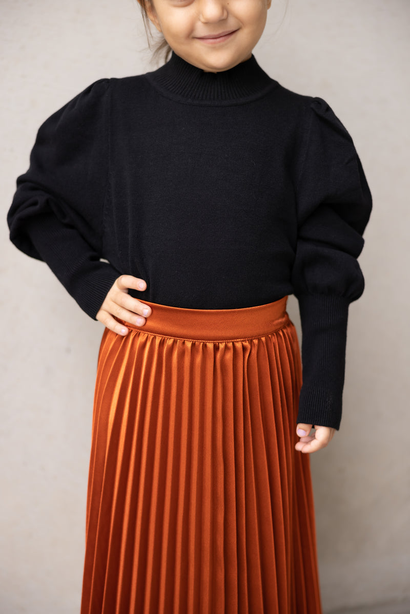 Sophia pleated skirt